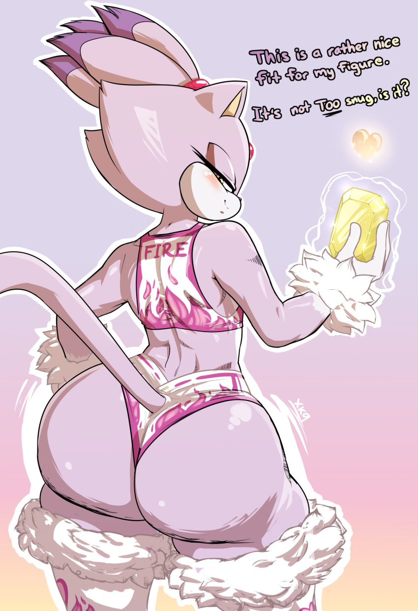Blaze The Cat (Sega) Rule 34 Image