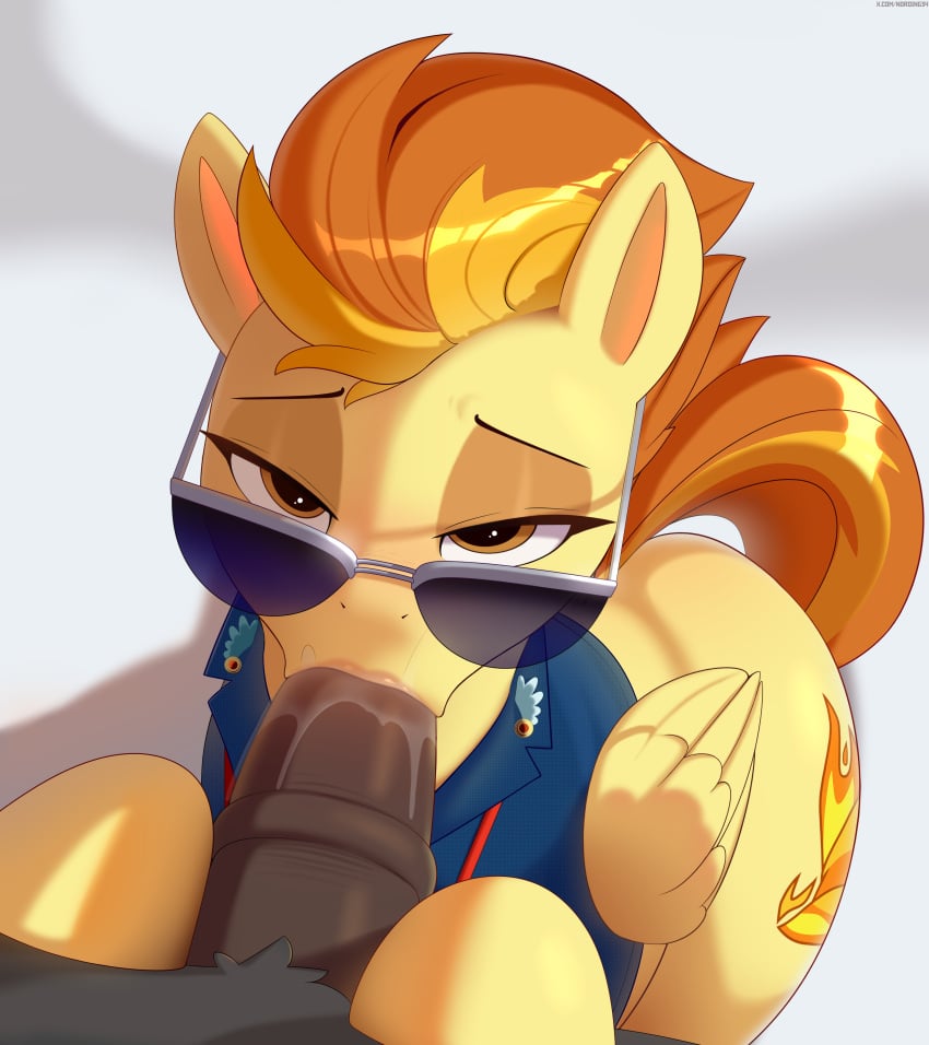 Spitfire (Mlp) Rule 34 Image