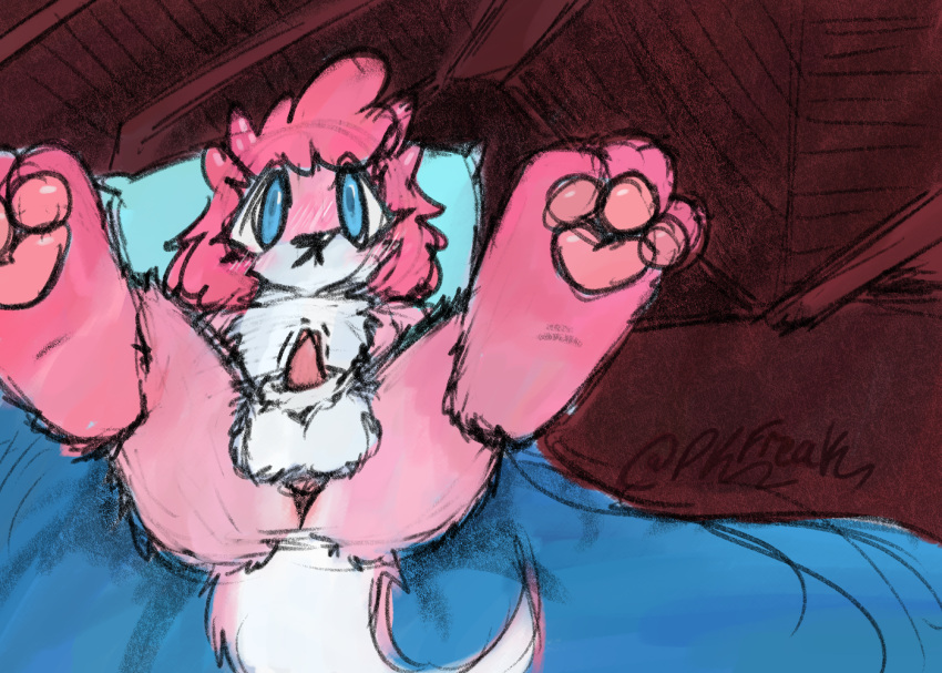 Phoebe (Psykwol) Rule 34 Image