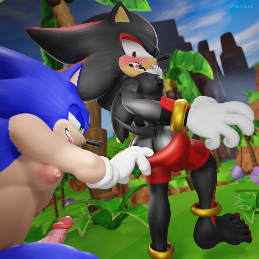 Shadow The Hedgehog (Sega) Rule 34 Image