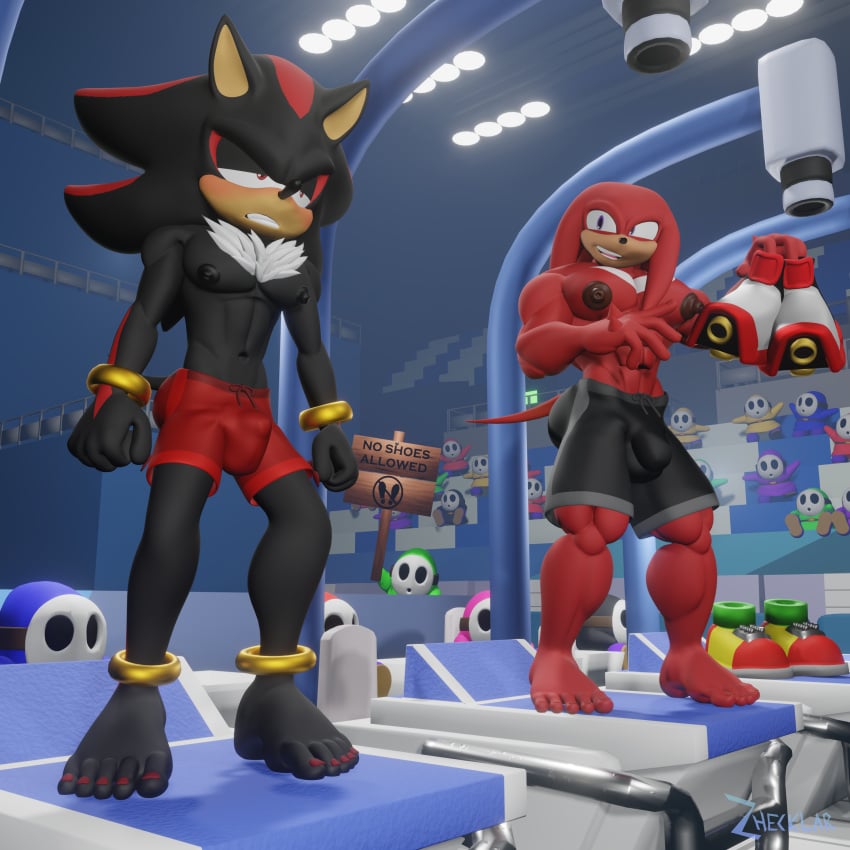 Knuckles The Echidna (Mario And Sonic At The Olympic Games) Rule 34 Image