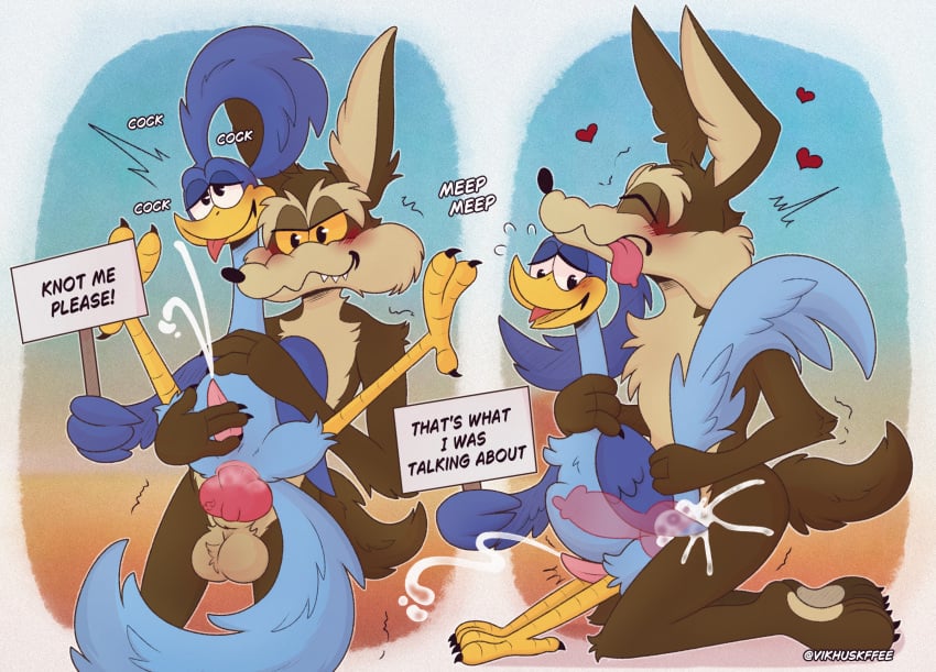 Road Runner (Looney Tunes) Rule 34 Image