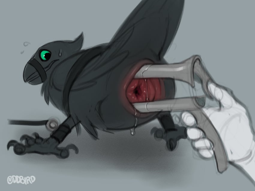 Puck (Slug) Rule 34 Image