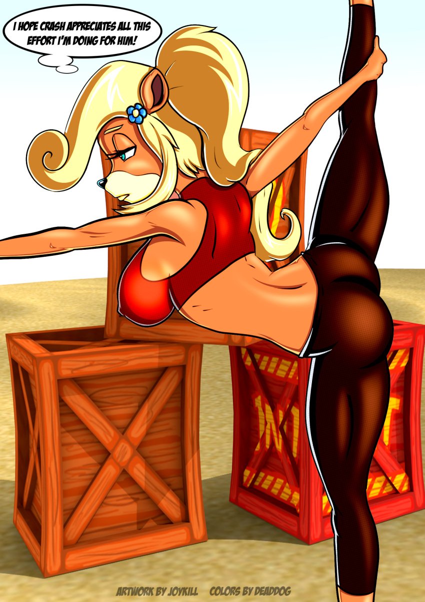 1girls anthro ass breasts coco_bandicoot crash_(series) crate deaddog2007 erection stretching text thought_bubble tight_clothing tight_pants