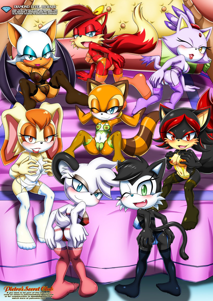 6+girls 8girls anthro anthro_only archie_comics areolae ass barby_koala bat bat_wings bbmbbf bed bedroom bedroom_eyes black_fur blaze_the_cat blue_eyes breast_squeeze breasts canid canine canine_penis cat cat_ears cat_tail clothed clothing cub diamond_level eyelashes eyeshadow fan_character fang feline female female_only fiona_fox fox fox/hedgehog_hybrid fur furry green_eyes hair_accessory hair_ribbon hershey_the_cat koala lingerie lipstick looking_at_viewer makeup marine_the_raccoon marsupial mature_female milf mobius_unleashed multicolored_fur multiple_girls nipples one_eye_closed open_mouth palcomix pietros_secret_club presenting presenting_hindquarters presenting_pussy pussy rabbit raccoon red_eyes red_fur rouge_the_bat sega siona_the_hedgefox small_breasts smile sonic_(series) sonic_the_hedgehog_(archie) sonic_the_hedgehog_(comics) sonic_the_hedgehog_(series) stockings tail tail_tuft tongue vagina vanilla_the_rabbit white_fur wings yellow_eyes