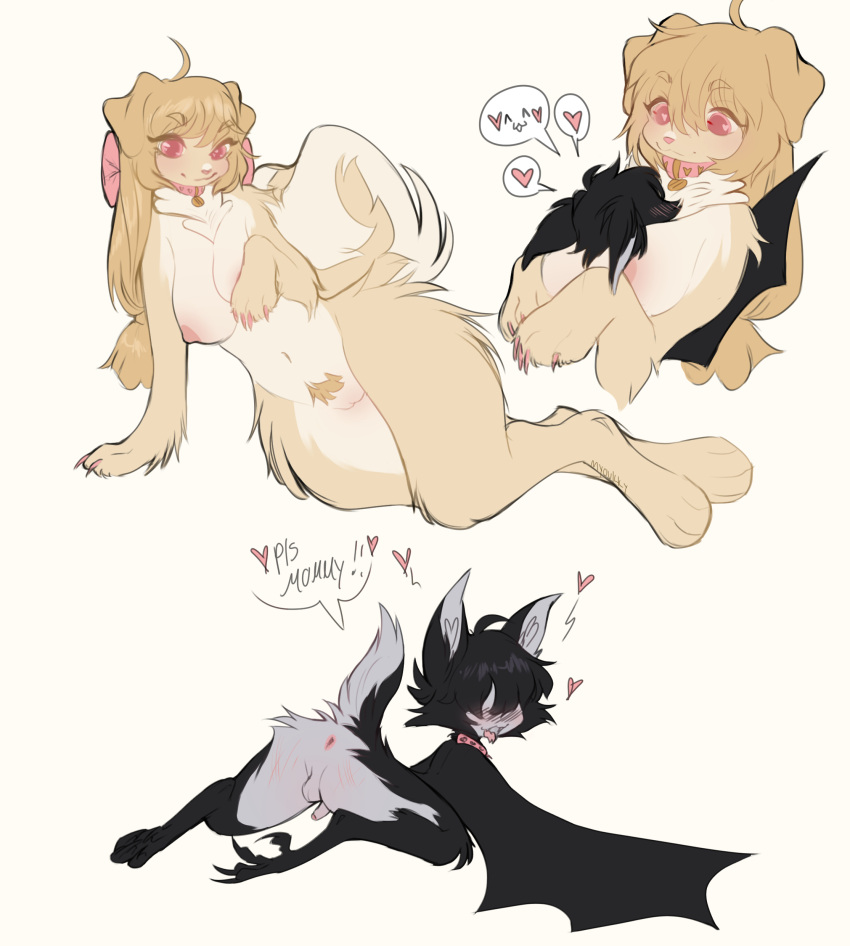 1boy 1girls 2022 absurd_res animal_ears anthro anthro_on_anthro anus backsack balls black_body black_fur blush breast_squish breasts brown_body brown_fur brown_hair canid canine canis chiropteran claws collar dialogue digital_drawing_(artwork) digital_media_(artwork) domestic_dog duo english_text female female_anthro femboy femboy_on_female floppy_ears fur genitals girly grey_body grey_fur hair heart heart-shaped_pupils hi_res interspecies larger_female male male/female male_anthro mammal myoukky navel neckwear nipples nude open_mouth penis pink_eyes pubes simple_background size_difference smaller_male smile smothering squish straight tail text