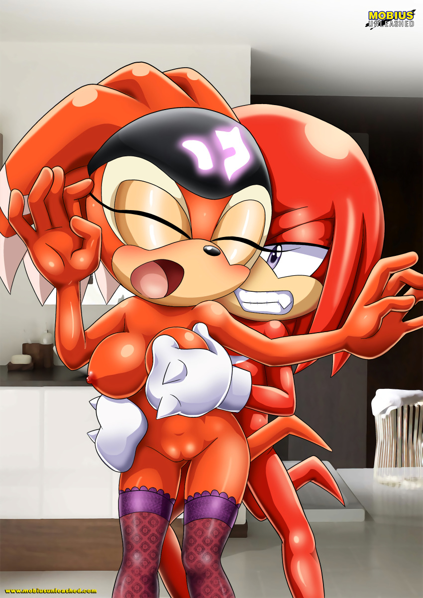 bbmbbf furry knuckles_the_echidna male mobius_unleashed palcomix sega shade_the_echidna sonic_(series)