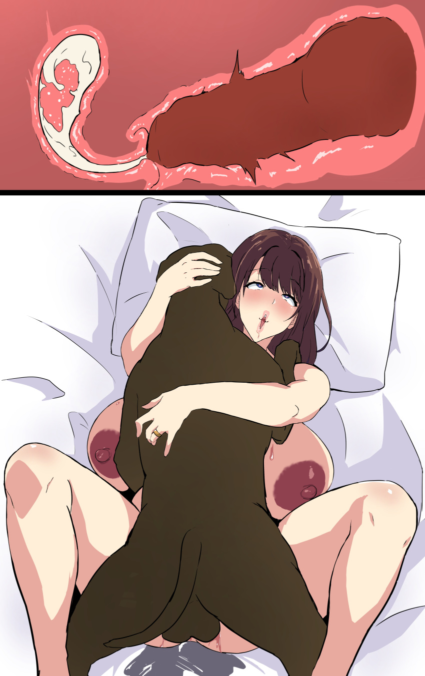 1girls bestiality canine canine_knot canine_penis cheating cucked_by_beast cuckold cum cum_in_pussy cum_inside female_human/male_feral feral human interspecies knot knot_fucking knotted knotting milf missionary_position miyuki_(artist) netorare ntr vaginal_penetration x-ray zoophilia