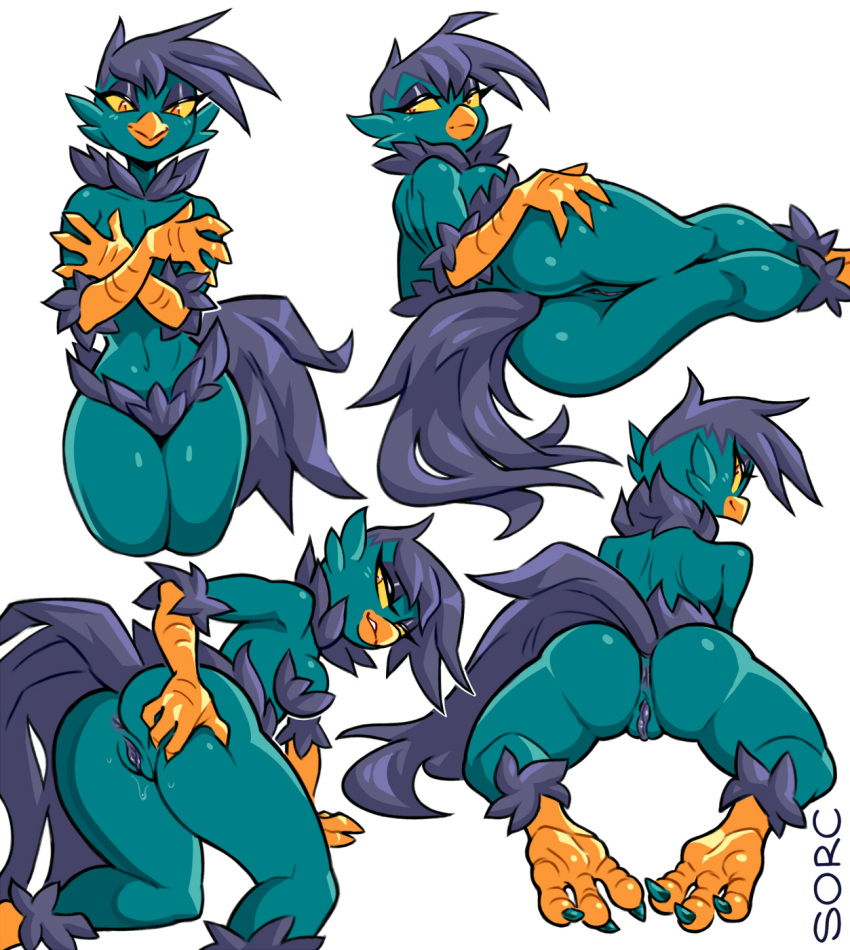 2022 all_fours anthro anus ass avian biped bird bird_feet black_body black_feathers black_hair claws digital_media_(artwork) feathers female genitals green_body green_feathers hair hand_on_butt hi_res looking_at_viewer looking_back looking_back_at_viewer lying multicolored_body multicolored_feathers on_side orange_eyes presenting presenting_hindquarters pussy simple_background solo sorc sorcerushorserus spread_butt spreading tail_feathers toe_claws two_tone_body two_tone_feathers white_background yellow_sclera