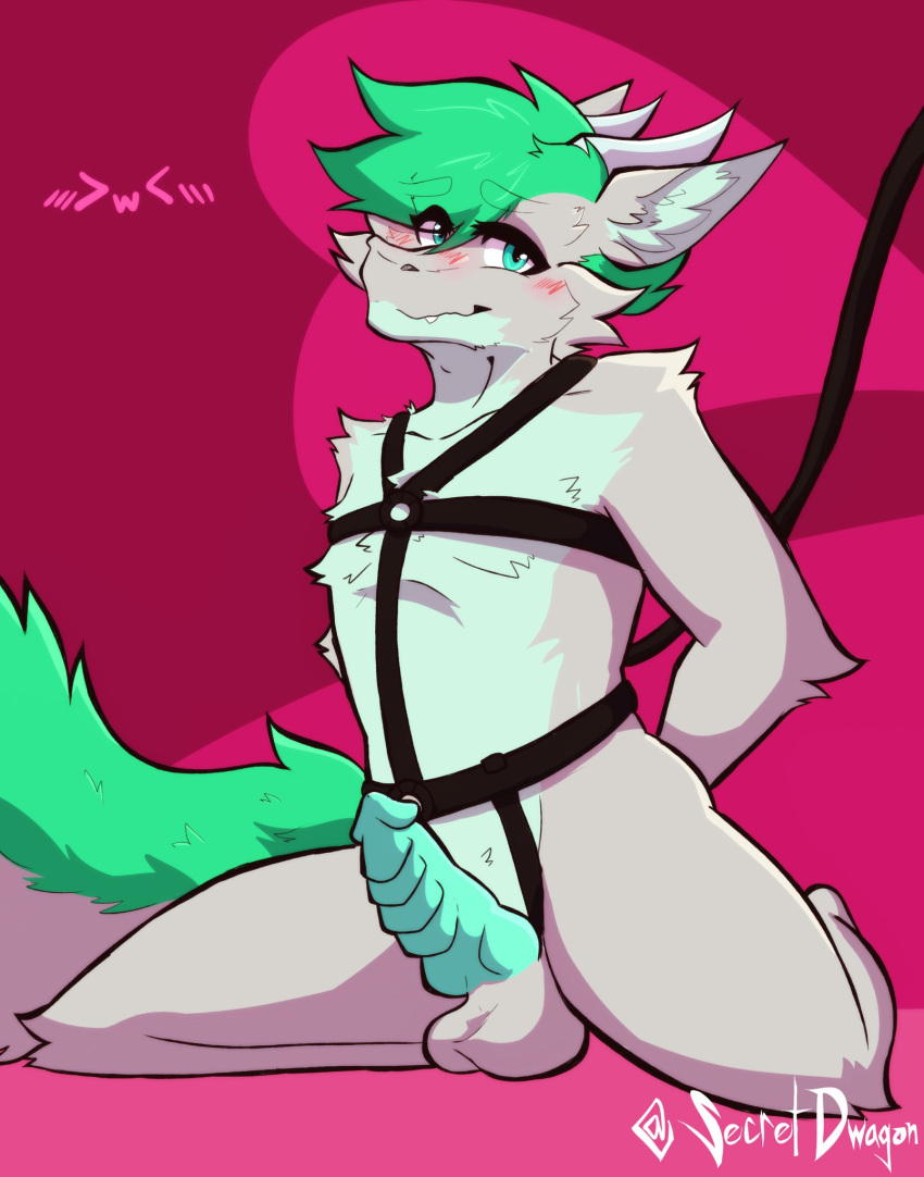 anthro balls blush bondage bondage bound dragon fur furred_dragon genitals hi_res male male/male penis secretdwagon solo