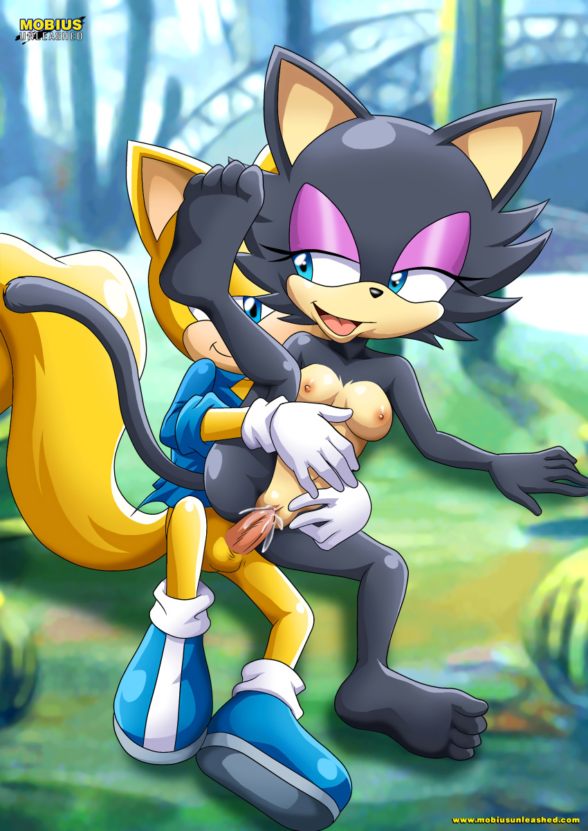 archie_comics bbmbbf furry male mobius_unleashed palcomix ray_the_flying_squirrel sasha_cat sega sonic_(series)