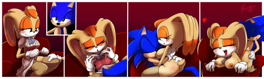 anthro ass breasts clothes color female fur furry hedgehog interspecies male nancher nude rabbit sex sonic_(series) sonic_the_hedgehog sonic_the_hedgehog_(series) tagme vanilla_the_rabbit