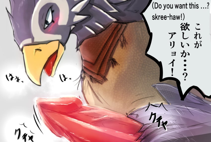 accipitrid accipitriform animal_crossing animal_genitalia animal_penis anthro avian bald_eagle bird canine_penis character_request eagle genitals h56_(hikkoro) hi_res male nintendo penis sea_eagle solo video_games