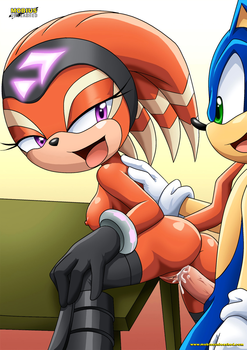 bbmbbf furry male mobius_unleashed palcomix sega shade_the_echidna sonic_(series) sonic_the_hedgehog