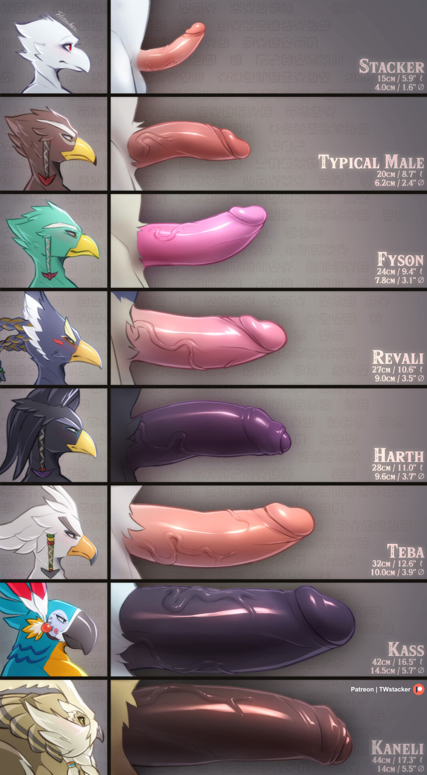 2022 6+boys 8boys absurd_res anthro avian balls blue_body blue_feathers breath_of_the_wild brown_body brown_feathers feathers fyson genitals green_body green_eyes green_feathers grey_body grey_feathers harth_(tloz) hi_res kaneli_(tloz) kass_(tloz) kass_(zelda) leash male male_only mature_anthro mature_male multicolored_body multicolored_feathers nintendo penis penis_leash penis_lineup penis_size_comparison red_eyes revali rito teba_(tloz) the_legend_of_zelda twstacker twstacker_(character) video_games white_body white_feathers yellow_body yellow_eyes yellow_feathers