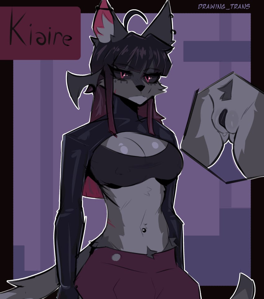 Kiaire (Drawing Trans) Rule 34 Image