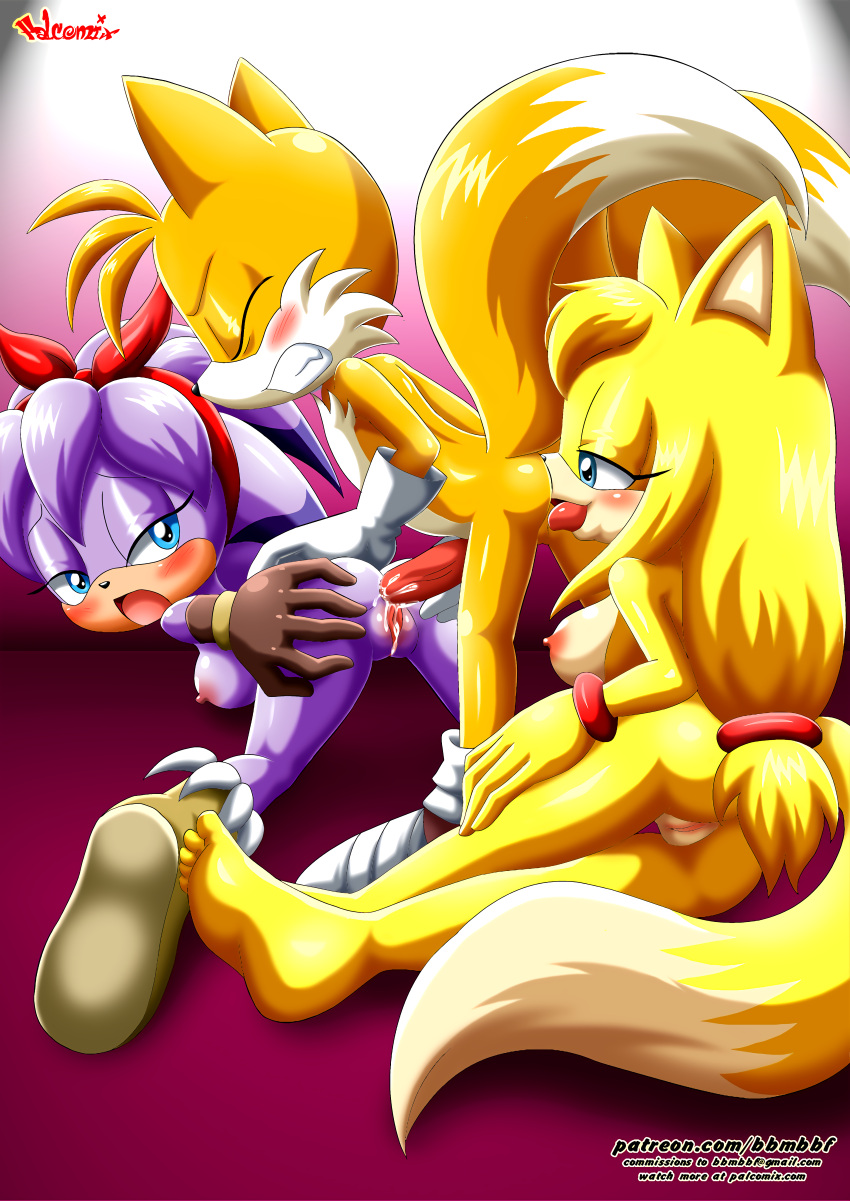 bbmbbf furry mobius_unleashed palcomix perci_the_bandicoot sega sonic_(series) sonic_boom tails zooey_the_fox