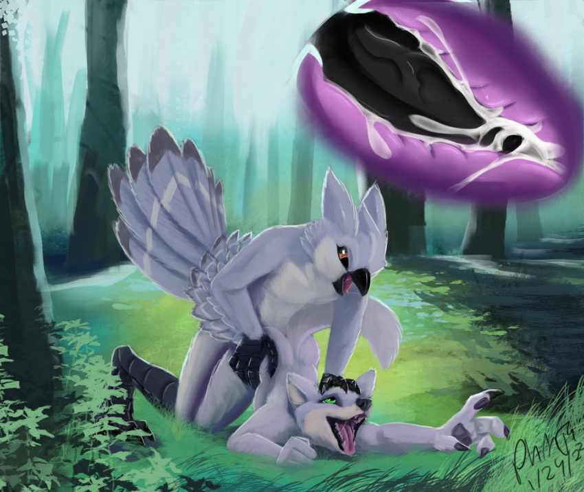 anal anal_sex anthro avian beak bird black_beak black_penis black_sclera black_talons bodily_fluids canid canine canis cum cum_in_ass cum_inside dizek_(character) duo feathers forest forest_background fur genital_fluids genitals green_eyes grey_body grey_feathers grey_fur internal looking_pleasured male male/male mammal nature nature_background open_mouth orange_eyes owl penetration penis phinja pinned plant plumage saliva saliva_on_tongue saliva_string tapering_penis tree wolf