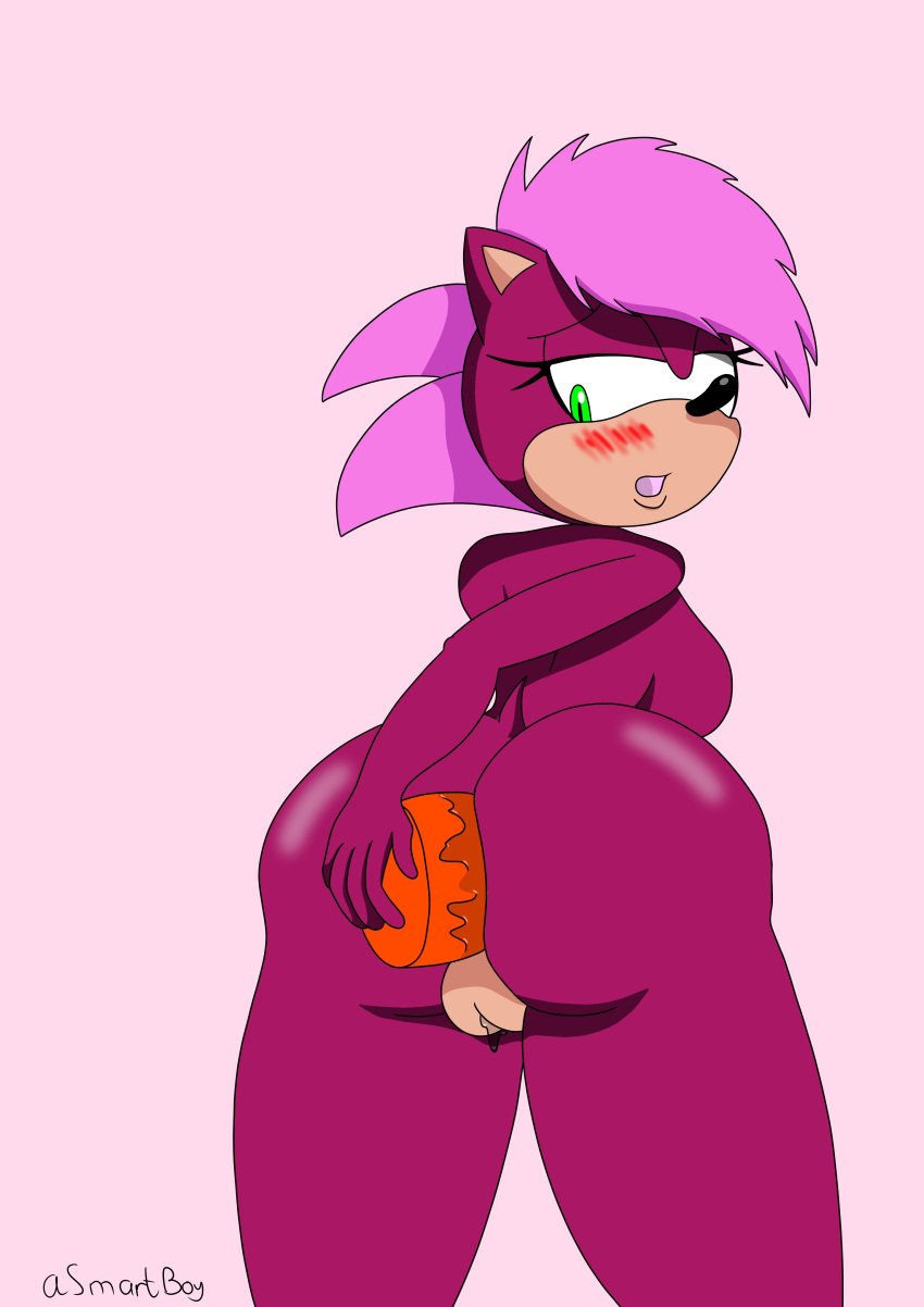 1girls asmartboy female female_only furry naked nude sex_toy solo solo_female sonia_the_hedgehog sonic_(series) sonic_the_hedgehog_(series) sonic_underground tagme