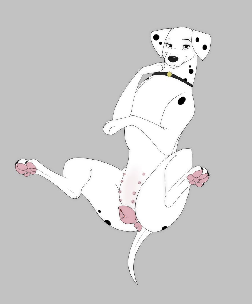 101_dalmatians anatomically_correct anatomically_correct_genitalia anatomically_correct_pussy animal_genitalia animal_pussy anus canid canine canine_pussy canis choker dalmatian digital_media_(artwork) disney domestic_dog female feral genitals hi_res jewelry kaze~inu looking_at_viewer mammal necklace nipples pawpads paws perdita pussy simple_background solo spots