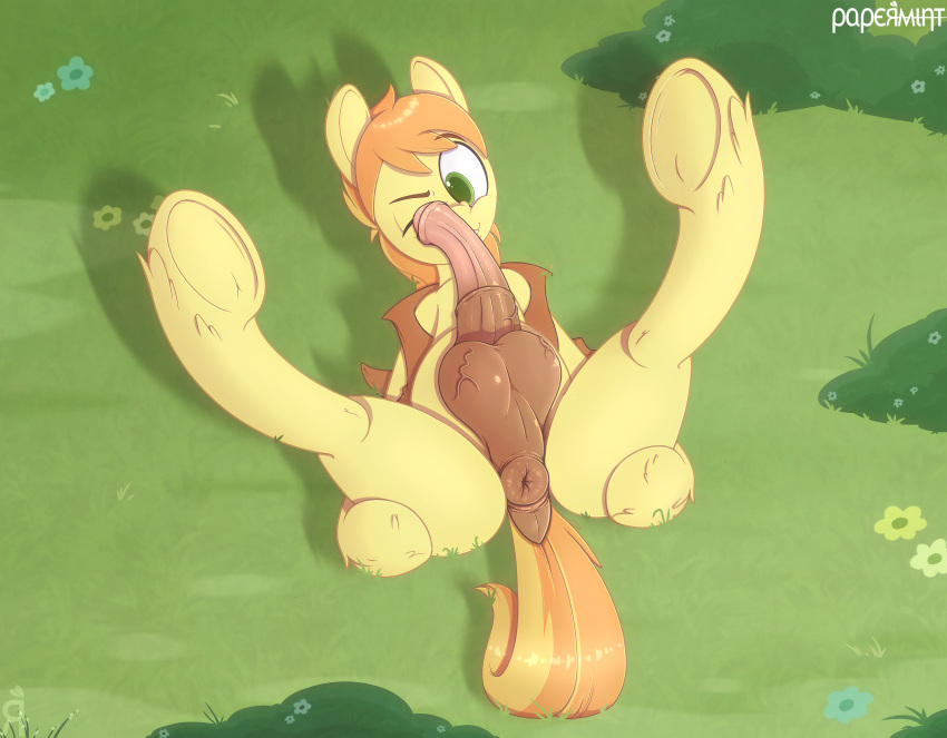 animal_genitalia animal_penis anus ass balls braeburn_(mlp) doggy_style equid equine equine_penis erection fellatio feral friendship_is_magic from_behind_position front_view genitals hasbro hi_res horse male mammal my_little_pony oral papermint papermintus penile penis pony sex solo