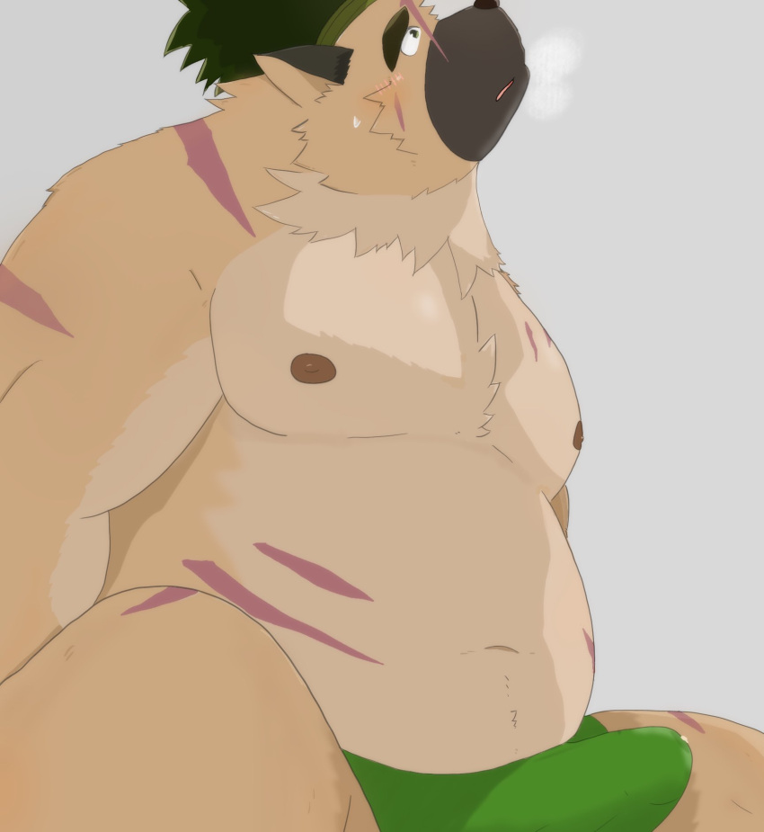 2022 anthro belly black_nose blush bodily_fluids brown_body bulge canid canine canis clothed clothing domestic_dog erection erection_under_clothing genital_fluids hi_res kemono lifewonders male mammal moobs nipples overweight overweight_male precum scar simple_background solo sweat tokyo_afterschool_summoners underwear video_games yasuyori yukinari_ism