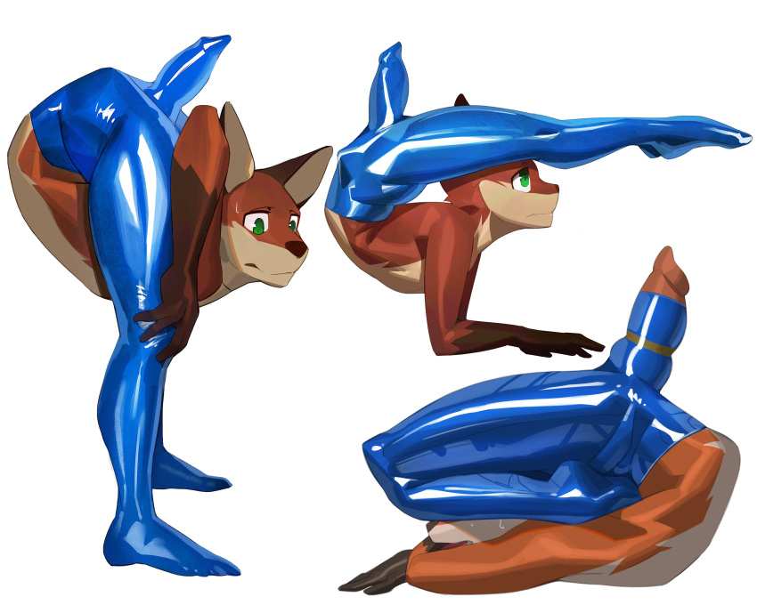 absurd_res animal_genitalia animal_penis anthro bodily_fluids canid canine canine_penis contortionism cxcxxcxxxx erection flexible fox fur genitals green_eyes hi_res knot latex_pants male mammal orange_body orange_fur penis solo sweat