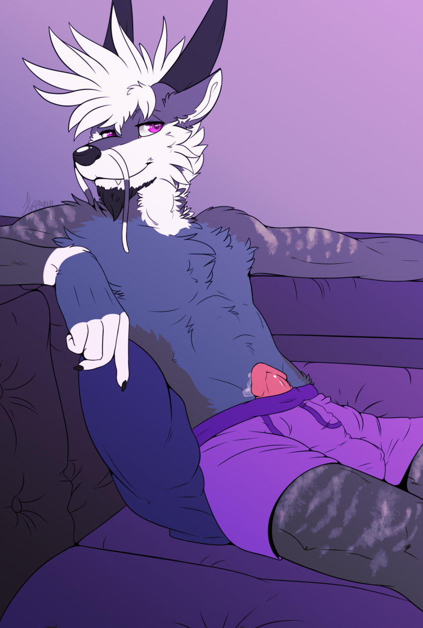 boxers_(clothing) bulge clothing furniture furry genitals hi_res krayxii looking_at_viewer male maned_dragon penis skye_(krayxii) sofa solo underwear