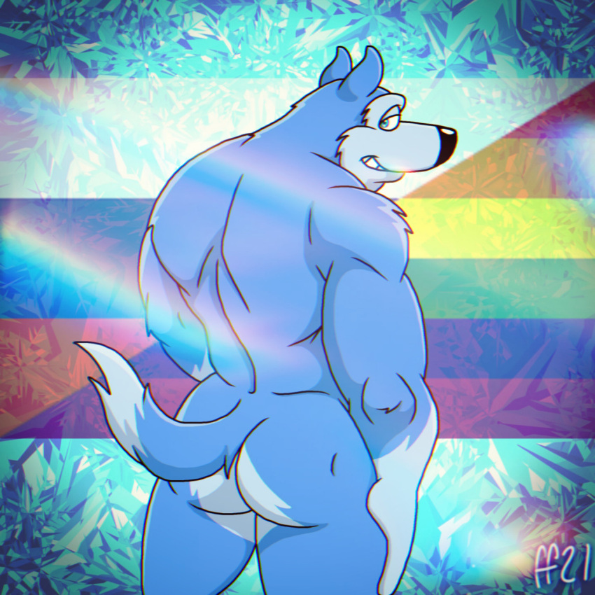 anthro ass blue_body blue_fur canid canine canis domestic_dog exile_(road_rovers) fabfelipe fur hi_res husky male male_only mammal muscular muscular_anthro muscular_male nordic_sled_dog nude road_rovers solo spitz