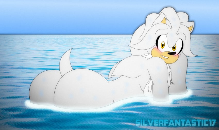 Silver The Hedgehog (Sonic (Series)) Rule 34 Image