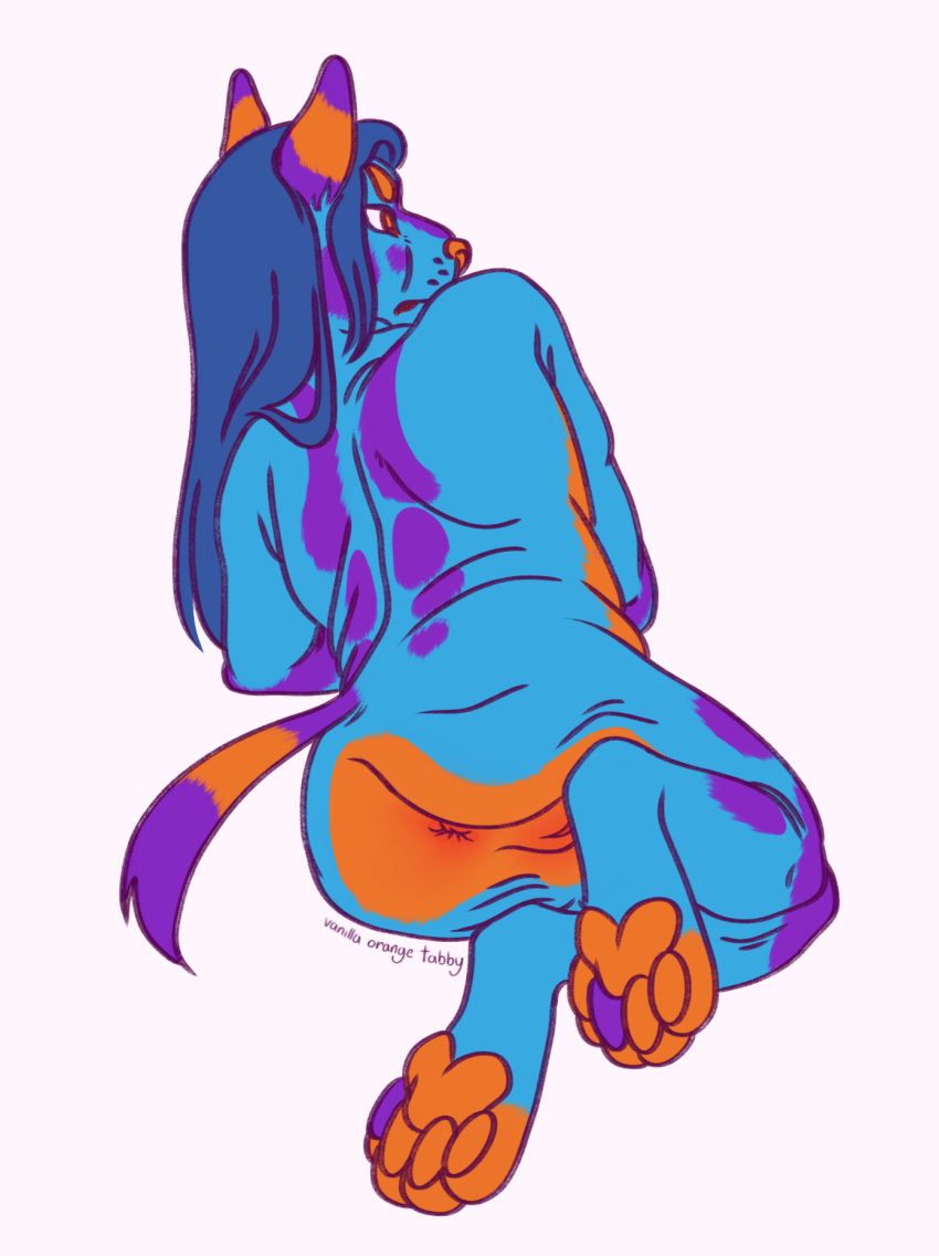 1cuntboy 4_toes anthro cuntboy cuntboy_only digital_drawing_(artwork) digital_media_(artwork) feet felid feline genitals hair hi_res intersex long_hair looking_away mammal paws serval solo toes vanillaorangetabby