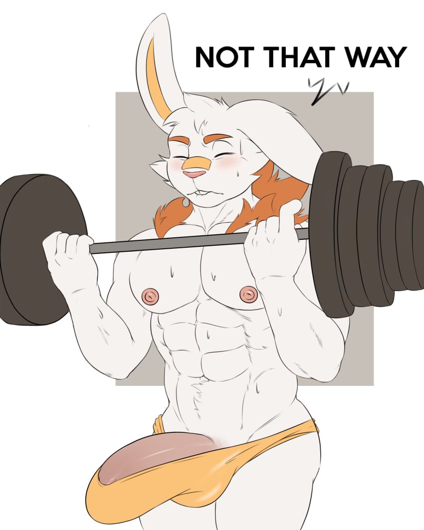 abs absurd_res anthro balls bara biceps big_bulge big_muscles big_penis blush bodily_fluids bulge clothed clothing doggonut erection exercise fur genitals hair hi_res huge_bulge huge_cock humanoid_genitalia humanoid_penis lagomorph leporid male male_only mammal muscular muscular_anthro muscular_male nintendo nipples nude pecs penis pokémon_(species) pokemon rabbit scared scorbunny simple_background solo speedo swimwear teeth text thisishomo underwear video_games white_body white_fur