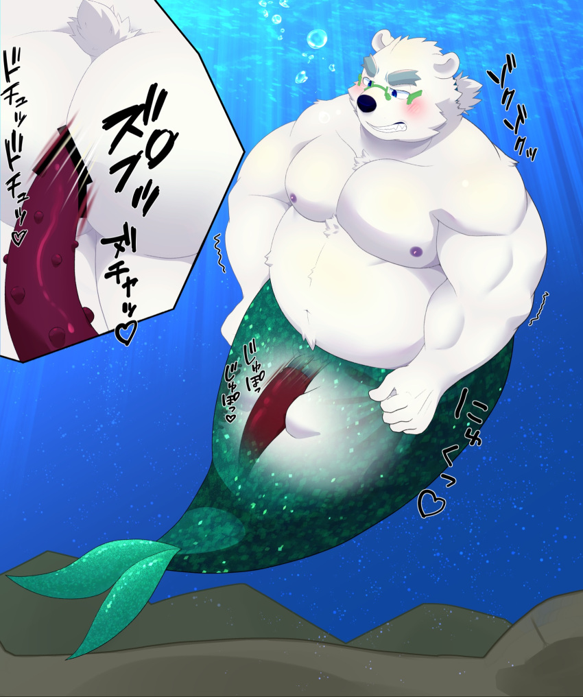 2022 anal anal_sex anthro ass belly blush eyewear genitals glasses hi_res hisashiyo_0705 humanoid_hands japanese_text kemono leib_(tokyo_afterschool_summoners) lifewonders male mammal moobs muscles muscular nipples overweight overweight_male penetration penis polar_bear solo solo_male text tokyo_afterschool_summoners underwater ursid ursine video_games water