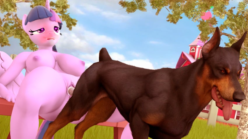 3d absurd_res alicorn anthro anthro_on_feral anthro_penetrated blush breasts canid canine canis cum cum_in_pussy cum_inside digital_media_(artwork) domestic_dog equid equine female female_penetrated feral feral_penetrating feral_penetrating_anthro friendship_is_magic genitals hi_res horn male male/female male_penetrating male_penetrating_female mammal my_little_pony penetration penile penile_penetration penis penis_in_pussy pussy sebaxn tongue tongue_out twilight_sparkle_(mlp) vaginal_penetration wings zoophilia