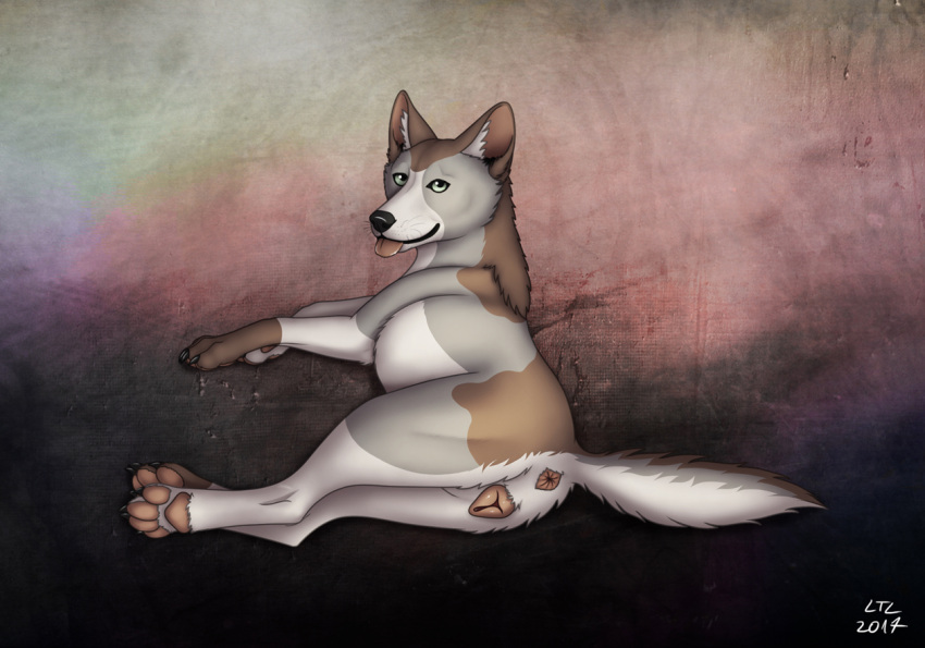 2017 4_toes animal_genitalia animal_pussy anus ass austrithur_(karn_the_wolf) blep brown_body brown_fur canid canine canine_pussy canis crossed_feet dark_claws digital_drawing_(artwork) digital_media_(artwork) digitigrade domestic_dog feet female feral fur genitals green_eyes grey_body grey_fur looking_at_viewer looking_back ltl lying mammal on_side pawpads paws presenting presenting_hindquarters presenting_pussy pussy quadruped raised_tail solo toes tongue tongue_out