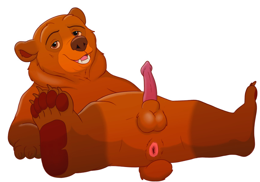 animal_genitalia animal_penis balls brother_bear disney erection feral fur genitals hi_res kenai magzol male male_only mammal nude open_mouth penis solo ursid