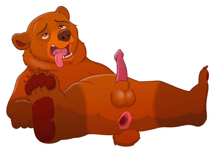 ahe_gao animal_genitalia animal_penis balls brother_bear disney erection feral fur genitals hi_res kenai looking_pleasured magzol male mammal nude open_mouth penis solo tongue ursid