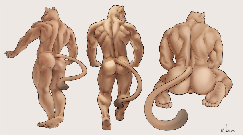 5_toes ass character_sheet cougar feline humanoid leobo male muscular