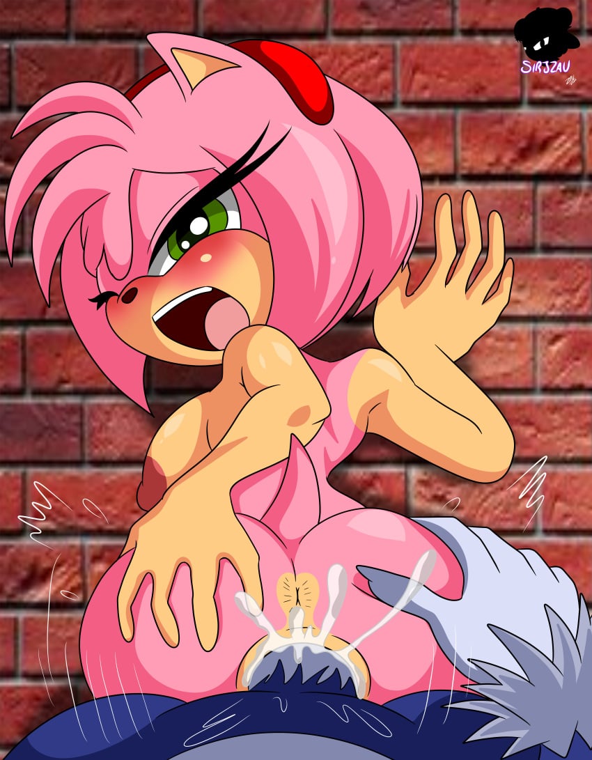 absurd_res accessory amy_rose anthro anus ass big_butt big_penis bodily_fluids butt_grab cum cum_in_pussy cum_inside duo ejaculation eulipotyphlan female first_person_view genital_fluids genitals green_eyes hair hair_accessory hand_on_butt hedgehog hi_res humanoid large_breasts looking_away looking_pleasured male male/female male_pov mammal one_eye_closed open_mouth penetration penis pink_body pink_hair pov pussy sega sirjzau sonic_(series) sonic_the_hedgehog sonic_the_hedgehog_(series) sonic_the_werehog sonic_unleashed spread_butt spreading tongue tongue_out vaginal_penetration wall_(disambiguation) were wereeulipotyphlan werehog