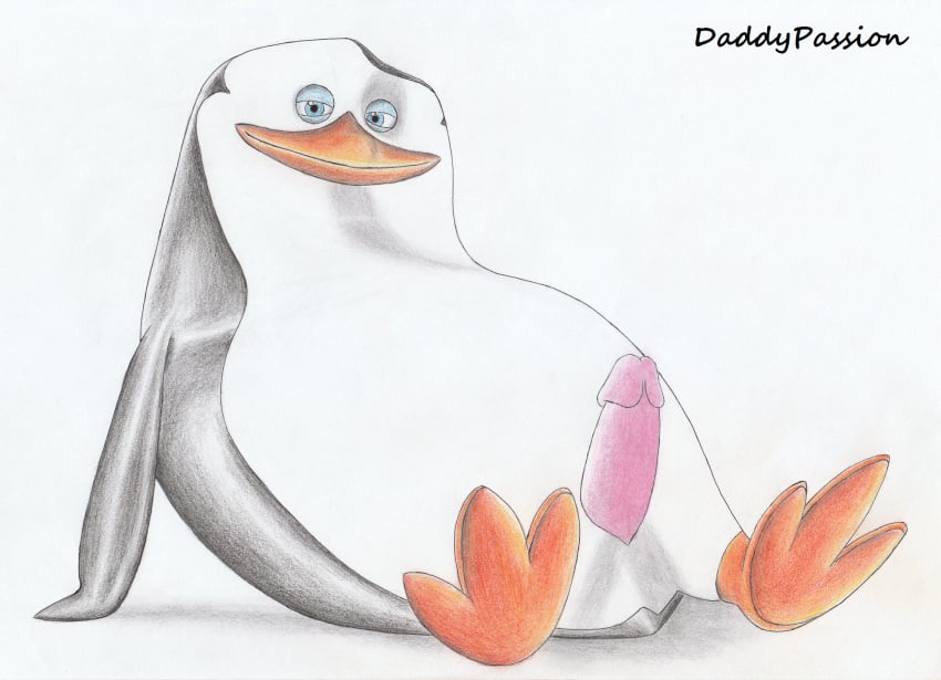 anthro avian beak belly bird daddypassion dreamworks erection feet flippers genitals hi_res madagascar_(series) male nude penguin penis simple_background sitting skipper_(madagascar) smile solo the_penguins_of_madagascar wings