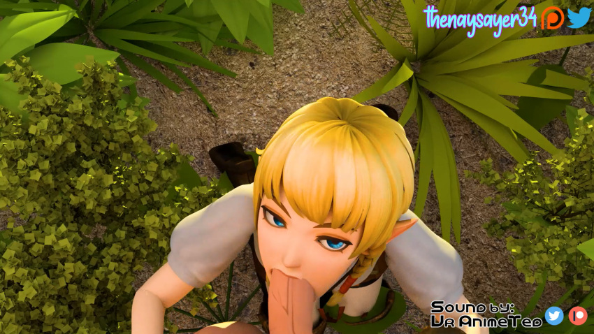 1boy 1girls 3d blonde_hair blowjob blue_eyes boots clothing deepthroat faceless_male fellatio female footwear grass handwear hylian hyrule_warriors kneeling linkle looking_at_viewer nintendo oral oral_penetration pointed_ears pov sfm smile teenager the_legend_of_zelda thenaysayer34 uncensored