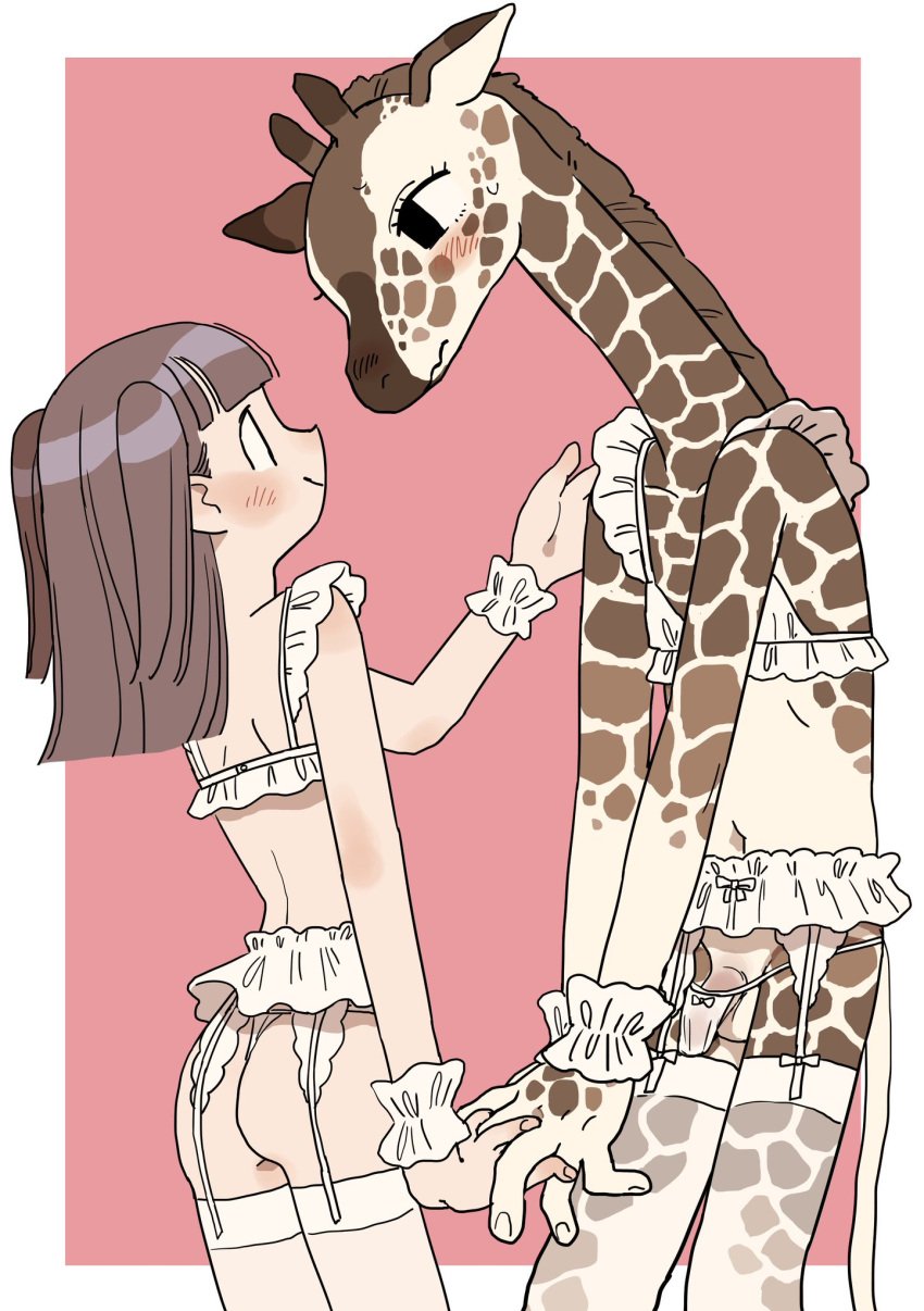 1boy 1girls anthro ass blush clothed clothing crossdressing duo erection female female_human femboy femboy_on_female giraffe giraffid girly hi_res human human_on_anthro interspecies lingerie male male_anthro mammal semi straight