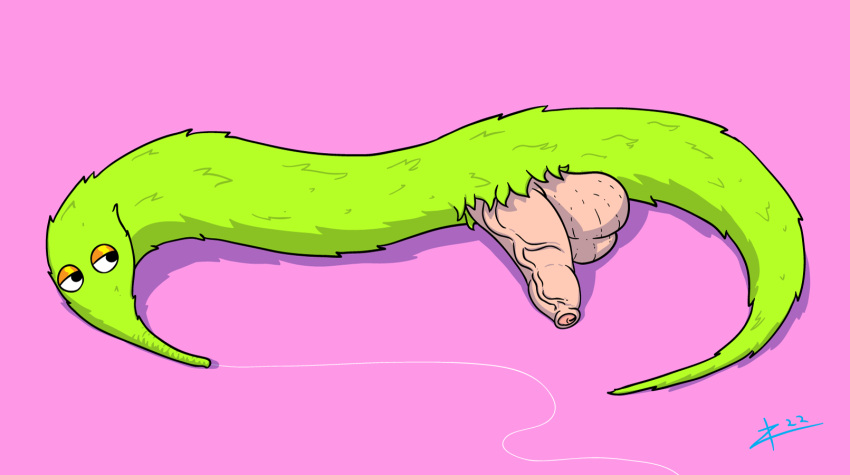 2022 bedroom_eyes digital_drawing_(artwork) digital_media_(artwork) feral fur genitals green_body green_fur hi_res humanoid_genitalia humanoid_penis male narrowed_eyes penis pink_background seductive signature simple_background solo what worm_on_a_string zigmenthotep