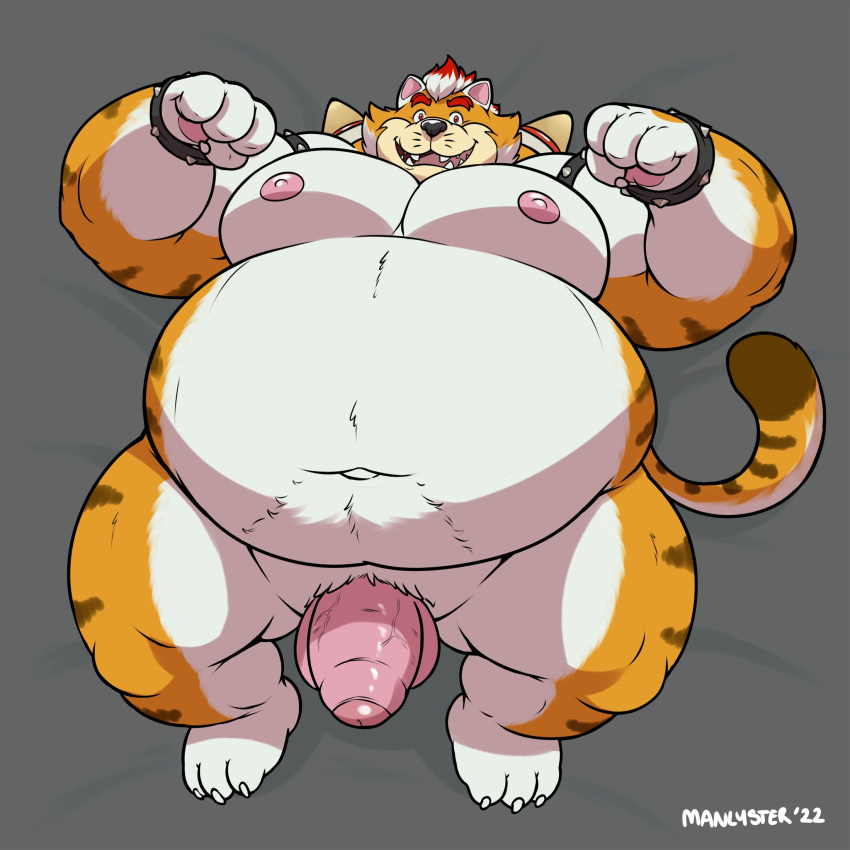 2022 anthro balls belly black_nose bowser felid genitals hi_res humanoid_genitalia humanoid_hands humanoid_penis male male_only mammal manlyster mario_(series) meowser moobs navel nintendo nipples overweight overweight_male penis solo super_mario_3d_world video_games white_body yellow_body