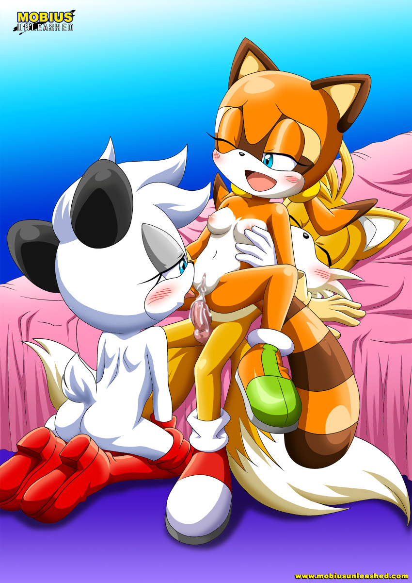 1boy 2girls anal anal_penetration anal_sex animal_ears anthro anthro_on_anthro anthro_penetrated anthro_penetrating anthro_penetrating_anthro archie_comics areolae barby_koala bbmbbf bed bedroom blue_eyes blush blushing breasts canine closed_eyes clothing cum cum_in_ass cum_in_pussy cum_inside cunnilingus erect_nipples eyelashes female female_on_top female_penetrated ffm_threesome footwear fox fox_ears fox_tail furry gloves gradient_background group group_sex half-closed_eyes koala lying lying_on_back lying_on_bed male male/female male_penetrating marine_the_raccoon marsupial mobius_unleashed navel nipples on_back on_bed on_knees one_eye_closed open_mouth oral oral_sex palcomix penetration pussy raccoon reverse_cowgirl_position sega sex shoes small_breasts sonic_(series) sonic_the_hedgehog_(series) straight tail tails threesome tongue tongue_out vagina white_fur yellow_fur