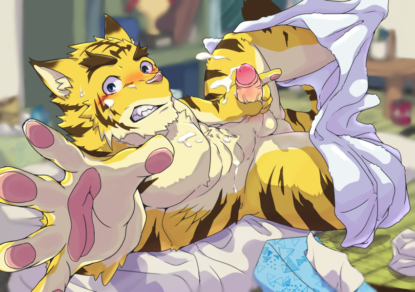Torahiko (Morenatsu) Rule 34 Image