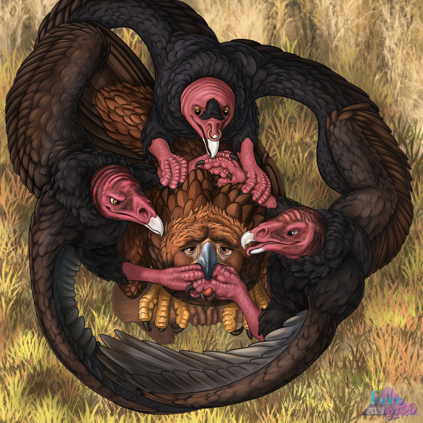 Sawyer (Ferobird) Rule 34 Image
