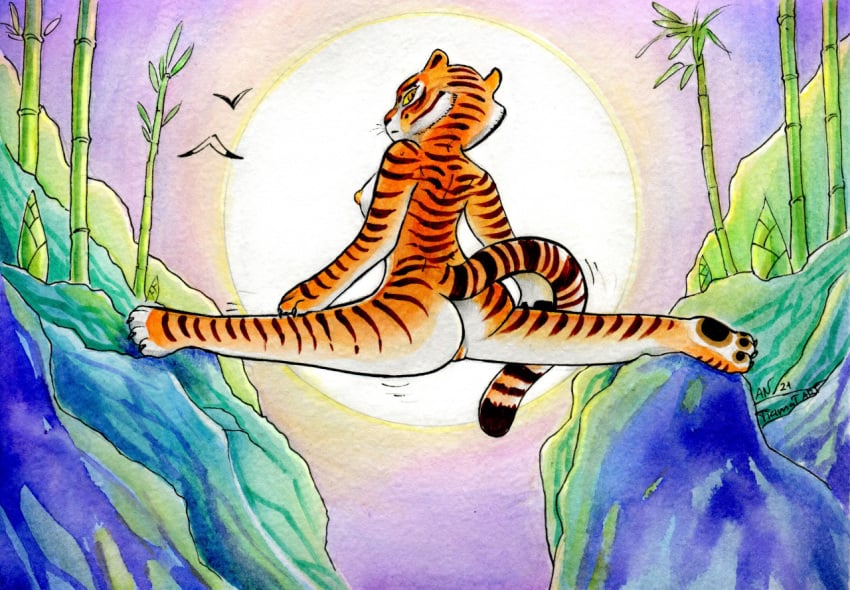 Master Tigress (Dreamworks) Rule 34 Image