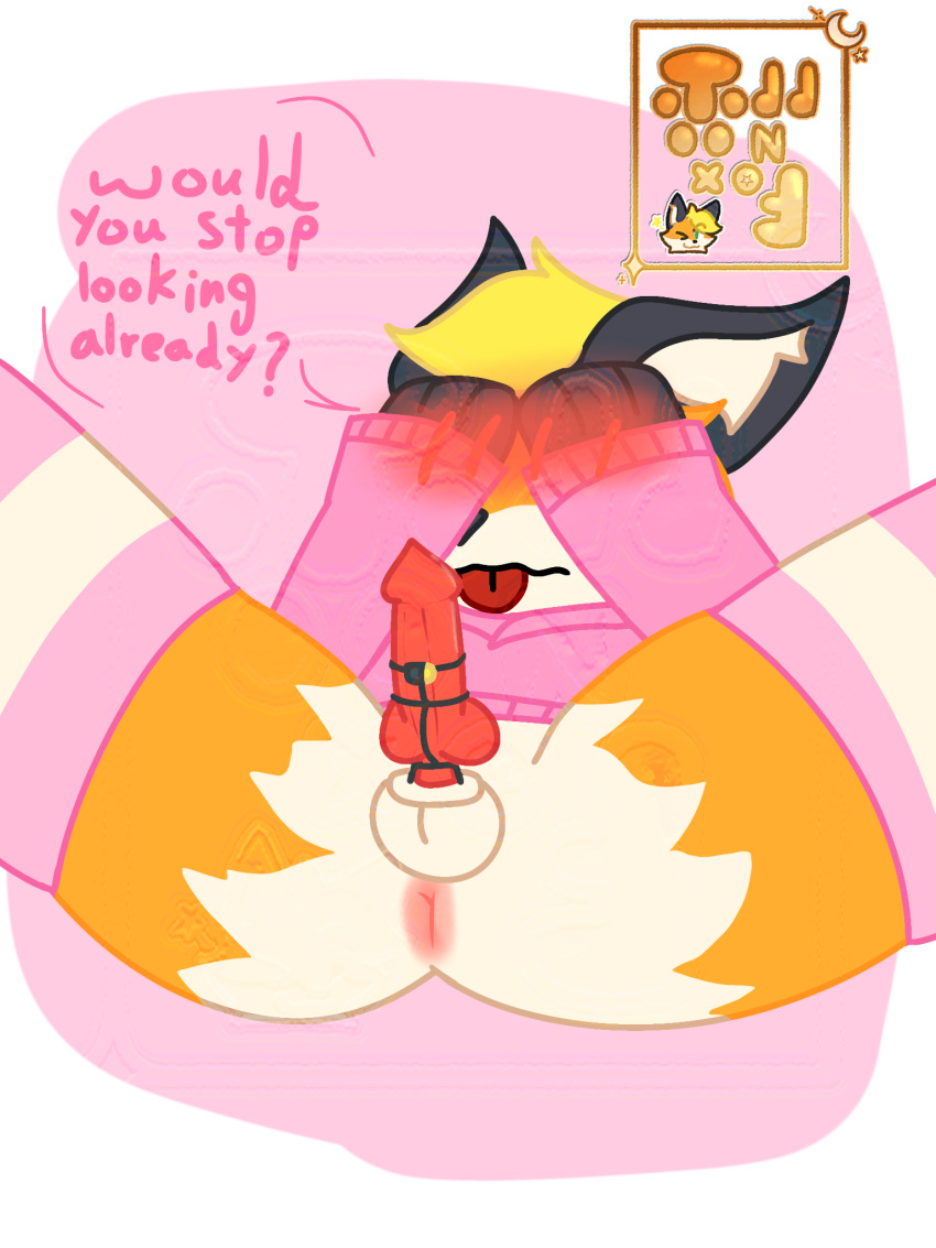 Todd (Toddthafox) Rule 34 Image