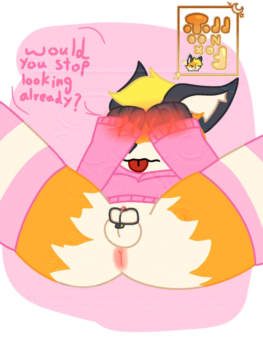 Todd (Toddthafox) Rule 34 Image
